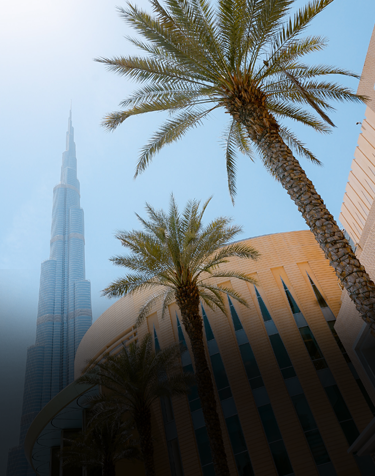 Minimal Dubai Business Setup Cost is offered by Emirates First 